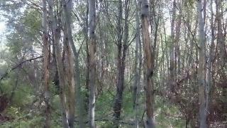 Братья наши меньшие-img_20150612_101653.jpg