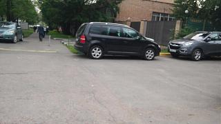 Встретил на дороге...-20150617_170705.jpg