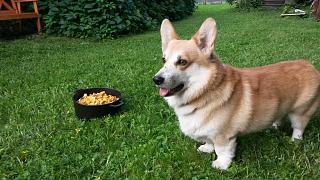 Пиво-20150703_174903.jpg