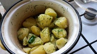 Пиво-20150703_190511.jpg