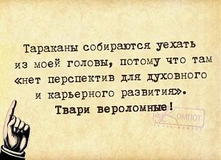 Повышатель настроения-2b8l5ixtxay.jpg
