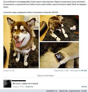 Повышатель настроения-syn_milliardera.jpg