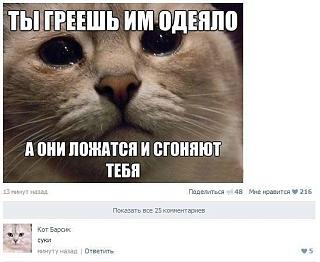 Братья наши меньшие-wg5bm7-z5wo-jpg.9871.jpg