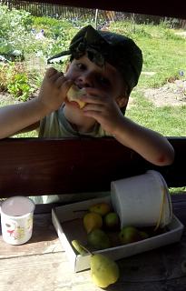 ДАЧА-kopiya-img_205808_122132.jpg