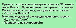 Повышатель настроения-11831778_473768136131309_3902724509500968274_n.jpg