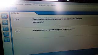 Серый-img_20150818_155142.jpg