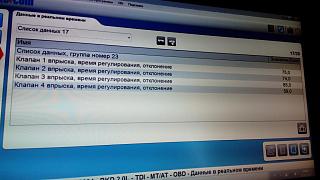 Серый-img_20150820_184452.jpg