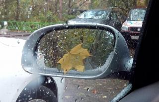 Ну и погодка!-img_20151010_123514-2.jpg