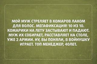 Повышатель настроения-12072771_874434529293098_167299935472077069_n.jpg