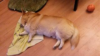 Что хорошего произошло за день?-20151030_163540.jpg