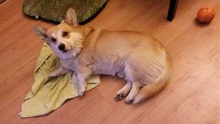 Что хорошего произошло за день?-20151030_163543.jpg