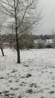 Ну и погодка!-foto.jpg