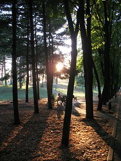 Красивые фотографии сделанные членами клуба-vecher-v-parke.jpg