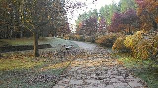 Ну и погодка!-p_20151031_085409.jpg