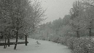 Ну и погодка!-p_20151123_122812.jpg