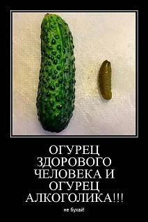 Повышатель настроения-11046778_10207908191083482_6926221641618356325_n.jpg