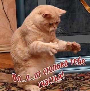 С Днем Рождения JokerSL и igor_t4 !!!-2c2274f108fe5c02de01979a9bb1ad5c.jpg
