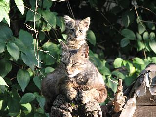 Красивые фотографии сделанные членами клуба-img_3101.jpg