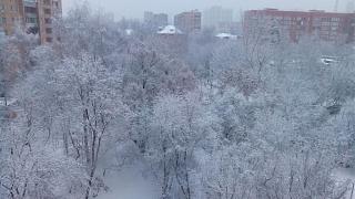 Ну и погодка!-img_20151201_083538.jpg