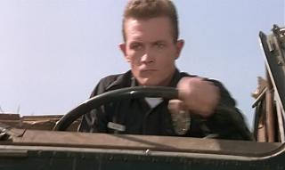 Повышатель настроения-terminator-0026.jpg