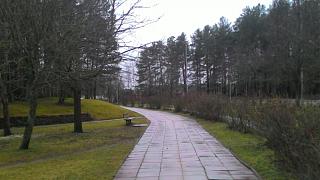 Ну и погодка!-p_20151219_092256.jpg