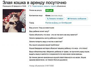 Повышатель настроения-zloy_kot_02.jpg