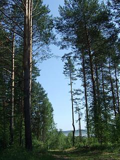 Путешествие турана из Питера в Туран (Тыва)-dscf1833.jpg