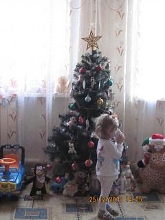 Новогодняя елка-img_0181.jpg