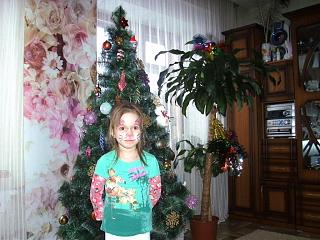 Новогодняя елка-pict7539.jpg