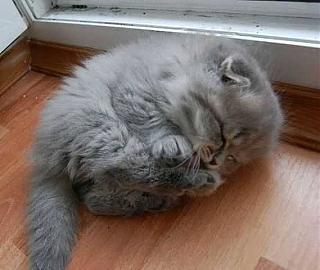 Повышатель настроения-gujjhgjhgjhg.jpg