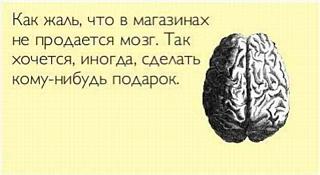 Повышатель настроения-mozg.jpg
