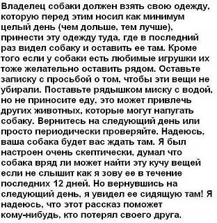 Эля. Письма из Германии.-10451650_1525739321014065_3825533215810738963_n.jpg