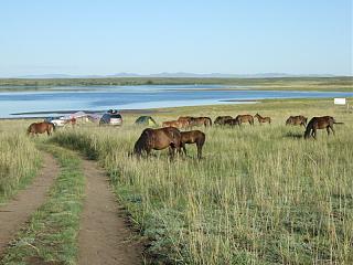 Путешествие турана из Питера в Туран (Тыва)-dscf2856.jpg
