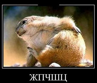 Повышатель настроения-zhpchshc.jpg