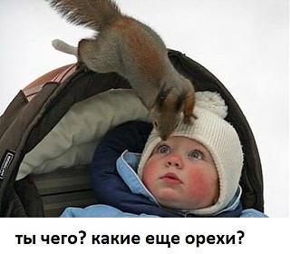 Повышатель настроения-222598_979559915442020_3649223887576886906_n.jpg