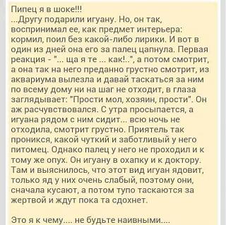 Анекдоты на отвлеченные темы-12644723_659748184127810_1125084774778619526_n.jpg