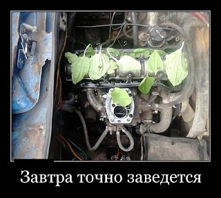 Повышатель настроения-demotivatory_08.jpg