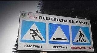 Всегда ли прав пешеход?-zp71i51ynfg.jpg