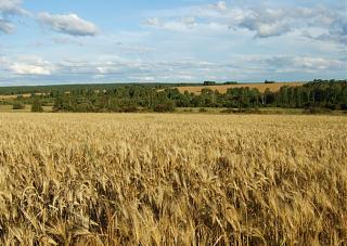 Путешествие турана из Питера в Туран (Тыва)-dscf3313.jpg