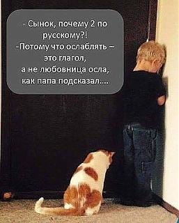 Анекдоты на отвлеченные темы-12669449_188242811539801_1668139274075073810_n.jpg