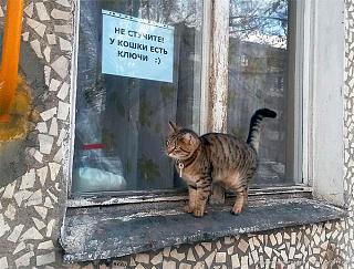 Повышатель настроения-17.jpg