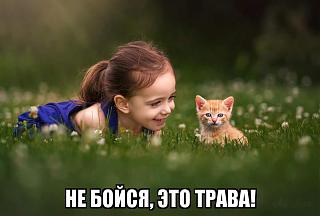 Повышатель настроения-89a949da85cb13c0880fb40009cf83ae.jpg