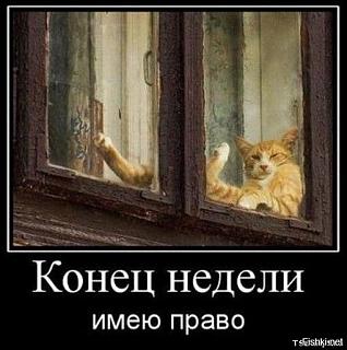 Повышатель настроения-452479bceaafe2aee329670a2eff20c2.jpg
