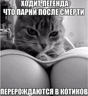 Повышатель настроения-smeshnye-kartinki-s-nadpisjami-17.jpg