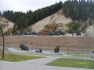Красивые фотографии сделанные членами клуба-sdc14267.jpg