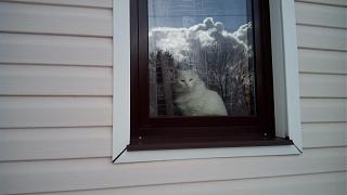 ДАЧА-img_20160320_114615.jpg