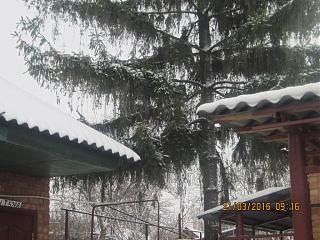 Ну и погодка!-img_0213.jpg