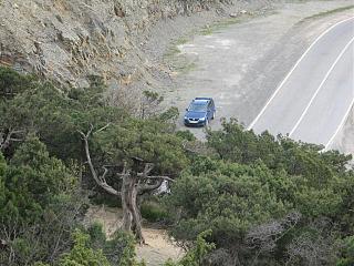 Красивые фотографии сделанные членами клуба-img_4533.jpg