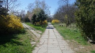 Что хорошего произошло за день?-20160405_134116.jpg