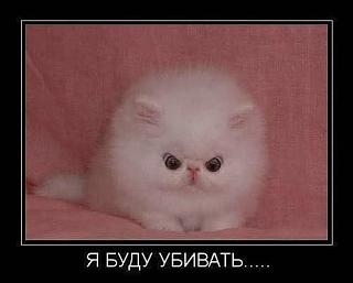 Повышатель настроения-e7c0f6fb-c371-4ff4-9576-c055ec8052b2.jpg
